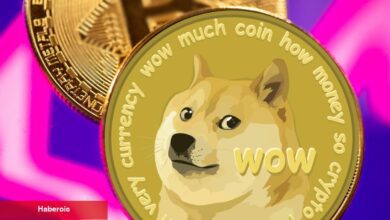 Dogecoin Mucidi Uyardı: Bu Altcoin Sıfıra Gidebilir!