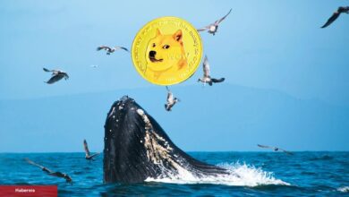 Dogecoin Satan Balinaların Yeni Avı Bu Altcoin!