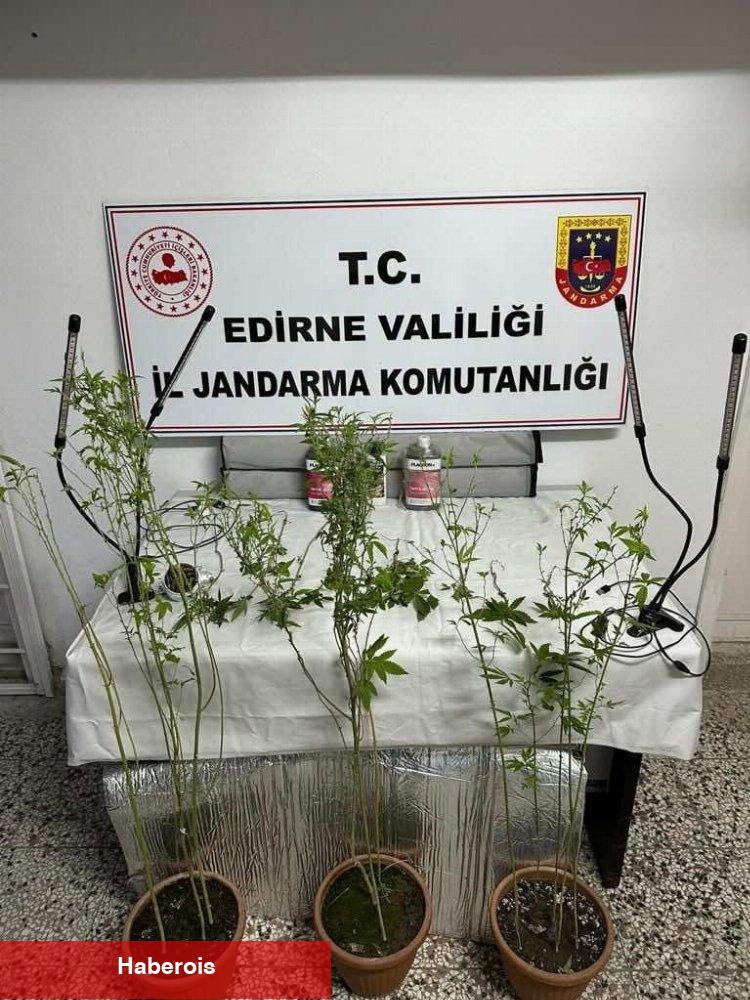 Edirne Jandarması'ndan haftalık rapor - Haberois Edirne Jandarması'ndan haftalık rapor