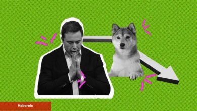 Elon Musk Açıklama Yaptı: DOGE Birdenbire Hareketlendi!