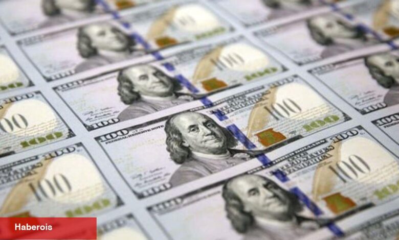 Finansal kesim dışındaki firmaların net döviz açığı azaldı