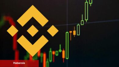 FLOKI ile Stacks, Paydaşlık ve Binance Dopingiyle Fırladı! - Haberois FLOKI ile Stacks, Paydaşlık ve Binance Dopingiyle Fırladı!