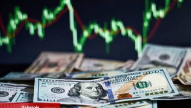Göğüs Coin Avcısı, Bu Coinlerle 1 Milyon Dolar Kazandı! - Haberois Göğüs Coin Avcısı, Bu Coinlerle 1 Milyon Dolar Kazandı!