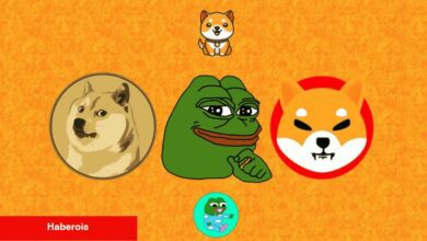 Haftaya DOGE, SHIB ve PEPE Fiyatında Ne Beklenmeli?