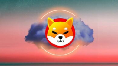 Haftaya Shiba Inu İçin Neler Bekleniyor? 3 Farklı Tahmin!