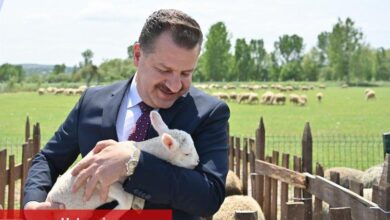 Hayvancılık atağı başladı - Haberois Hayvancılık atağı başladı