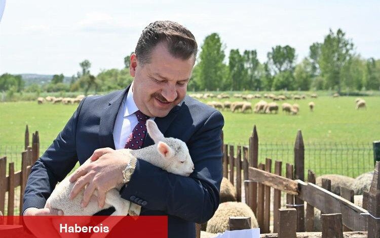 Hayvancılık atağı başladı - Haberois Hayvancılık atağı başladı