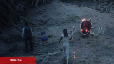 Hogwarts Legacy'de artık örümcek korkusuna son! Resmi mod yayınlandı! - Haberois Hogwarts Legacy'de artık örümcek korkusuna son! Resmi mod yayınlandı!