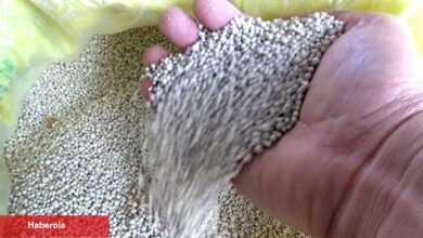 İGSAŞ, Samsun ve Hatay'a iki yeni gübre fabrikası kuruyor