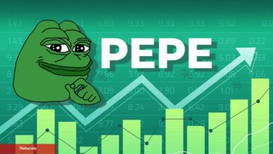 İnanılmaz Artış Gören PEPE Coin İçin 50x Müjdesi! - Haberois İnanılmaz Artış Gören PEPE Coin İçin 50x Müjdesi!