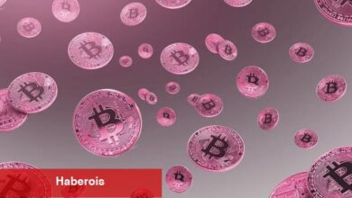 İşte Kripto Paralarda Bu Hafta İzlenecek 15 Olay! - Haberois İşte Kripto Paralarda Bu Hafta İzlenecek 15 Olay!