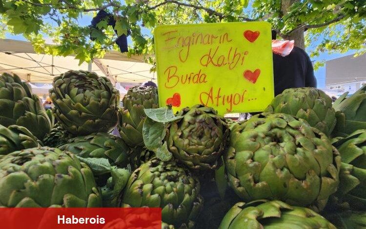 İzmir Urla enginara doydu