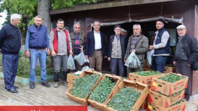 İzmit'te fideler kırsala dağıtılıyor