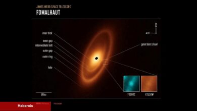 JWST, Güneş Sisteminin ötesinde görülen birinci asteroit nesillerinin manzaralarını yakaladı