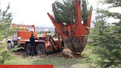 Kayseri Büyükşehir'den yeşil harekat - Haberois Kayseri Büyükşehir'den yeşil harekat