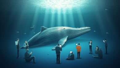 Kripto Para Balinaları, Bu Hafta O Altcoin’lere Yükleniyor! - Haberois Kripto Para Balinaları, Bu Hafta O Altcoin’lere Yükleniyor!