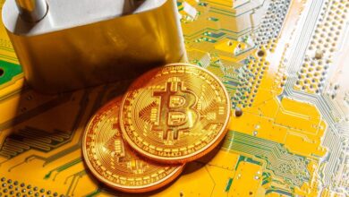 Kripto Para Milyarderi: Bu Altcoinler Menkul Değer Olabilir!