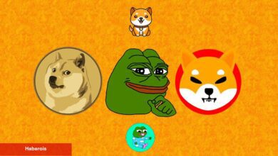 Kripto Savunucusundan Göğüs Coin’ler İçin Korkutucu Uyarı!