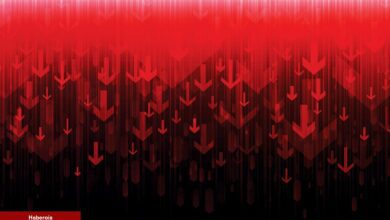 Kritik İkaz: 20x Yapan Altcoin, Büyük Çöküş Görebilir!