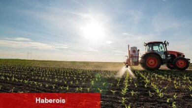 Kuraklık Riski Büyüyor Prof. Dr. Metin Turan: Tarımsal Üretimde Veriler Acil, Önlem Alınmalı - Haberois Kuraklık Riski Büyüyor Prof. Dr. Metin Turan: Tarımsal Üretimde Veriler Acil, Önlem Alınmalı