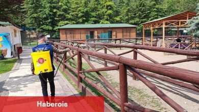 Larvasit Uygulaması ve İlaşlama Çalışması Devam Ediyor - Haberois Larvasit Uygulaması ve İlaşlama Çalışması Devam Ediyor