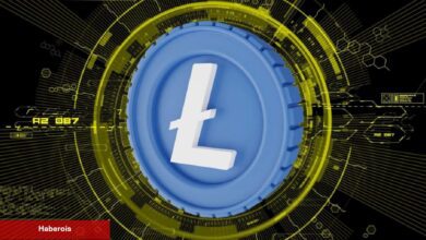 Litecoin Halving’ine 92 Gün Kaldı: İşte LTC İçin Beklentiler!