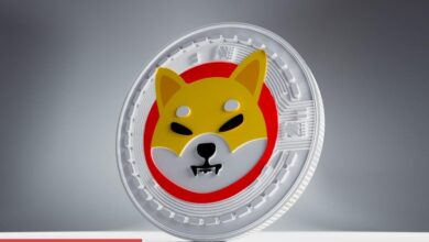 Messari: Bu Altcoin SHIB’ten Daha Süratli Büyüyebilir!