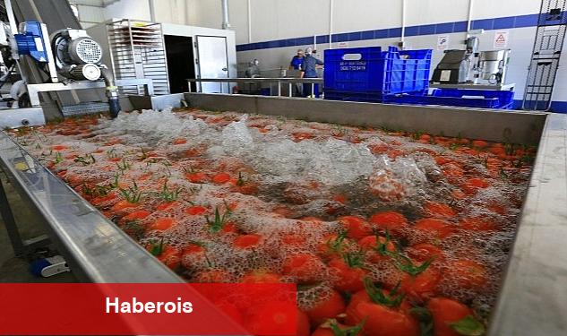 Muğla'nın Ürünlerine Değer Katan Tesis - Haberois Muğla'nın Ürünlerine Değer Katan Tesis