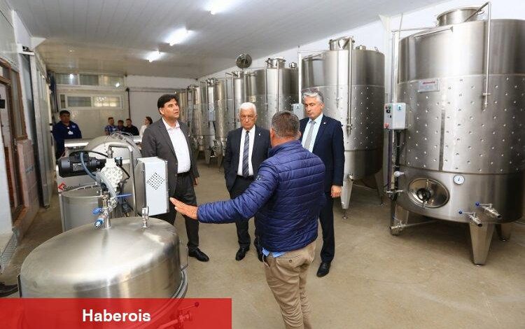 Muğla'ya üzüm suyu, sirke, pekmez ve şarap üretim tesisi - Haberois Muğla'ya üzüm suyu, sirke, pekmez ve şarap üretim tesisi