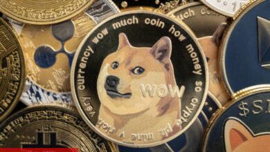 Nam Salan Analist: DOGE Hariç! Bu Altcoinler Sıfıra Gidiyor!