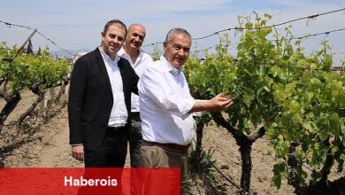 "NEİN (Hayır) demeyi öğrendiğimiz gün kuru üzümümüz para edecek"
