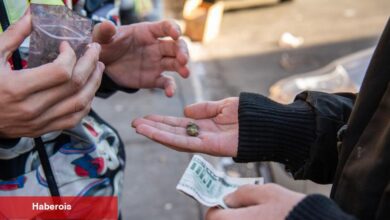 NYC Öğretmenleri, Giderek Daha Fazla Genç Liseye Geliyor - Haberois NYC Öğretmenleri, Giderek Daha Fazla Genç Liseye Geliyor