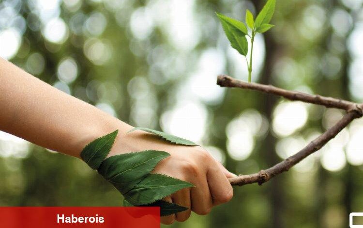 OEDAŞ, evrak kullanımını yüzde 90 azaltacak - Haberois OEDAŞ, evrak kullanımını yüzde 90 azaltacak