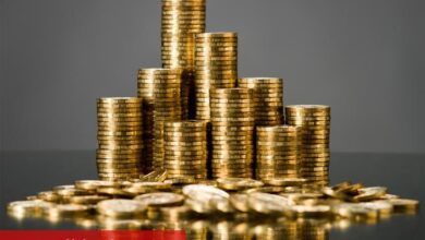 Paranızı Katlayın: Staking İçin En Uygun Altcoinler Hangileri?