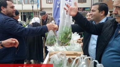 Pazaryeri Belediyesi'nden çiftçilere ücretsiz fide desteği