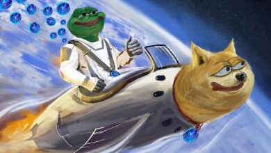 PEPE Ay’a Gidiyor: Listeleyecek Sıradaki Borsa Binance mi?