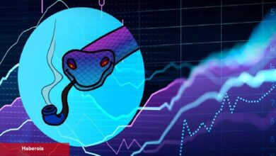 PEPE Bitti, Sıradaki Süratli At SNEK mi? Yüzde 23.000 Artış!