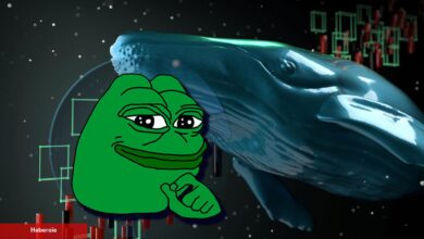 PEPE Coin Milyonerinin Yeni Avı, Bu Altcoin!