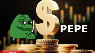 PEPE Coin OP, LUNC, MKR’i Geçip Milyoner Yaptı! Sıradaki Nedir?