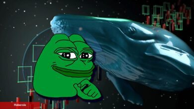 PEPE ve MKR Boşaltan Balinalar Bakın Ne Alıyor!