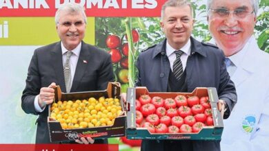 Sakarya serasından 'mükemmel' ürünler