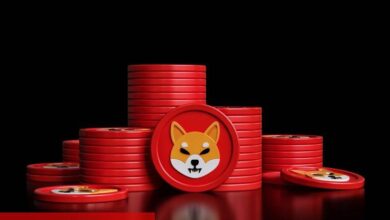 Shiba Inu Büyük Duyuruya Hazırlanıyor! Ne Olabilir?