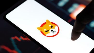 Shiba Inu Kritik Duyurular Yapıp, Tarih Bile Verdi!