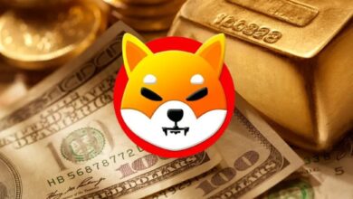 Shiba Inu (SHIB)’nun Yüzde 1.100 Artacağı Tarih Muhakkak Oldu!