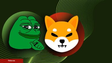 Sıradaki PEPE, SHIB’i Kaçırmamak İçin Bu Balinaları İzleyin!