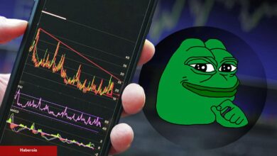 Tanınan Analist: PEPE ve Bu Altcoinleri Almayın!