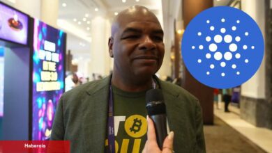Tanınan Yatırımcı: Cardano Satıp, Bu Altcoinleri Alacağım! - Haberois Tanınan Yatırımcı: Cardano Satıp, Bu Altcoinleri Alacağım!