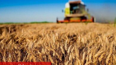 Tarım ambarı şehre Akıllı Tarım Merkezi - Haberois Tarım ambarı şehre Akıllı Tarım Merkezi