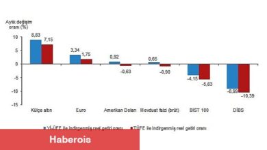 TÜİK: Aylık en yüksek reel getiri külçe altında oldu - Haberois TÜİK: Aylık en yüksek reel getiri külçe altında oldu