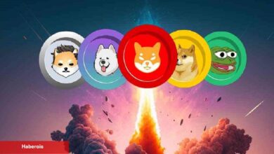 Türk Kripto Borsası da Çok Konuşulan Göğüs Coin’i Listeledi!